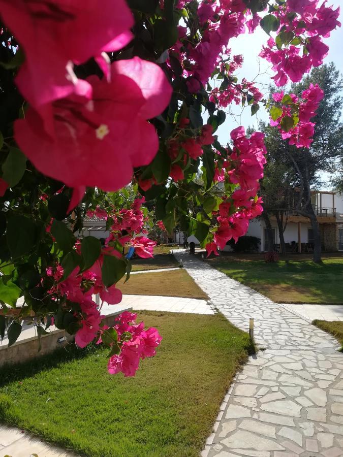 Отель Marzi Beach And Bungalows Коккони Экстерьер фото