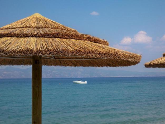 Отель Marzi Beach And Bungalows Коккони Экстерьер фото